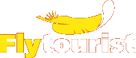 Логотип Flytourist